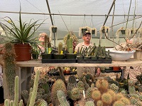 Some of the cacti in a greenhouse at Poot's Cactus Nursery. 